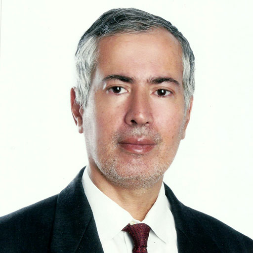 Massimo Buonomo